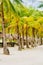 Nipa huts on the white coral sand beach surrounded with palms