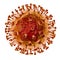 Nipah virus, newly emerging zoonotic infection with respiratory disorders and encephalitis