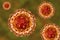 Nipah virus, newly emerging zoonotic infection with respiratory disorders and encephalitis