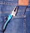 Nipper in blue jeans pocket