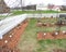 Niskayuna Watervliet Shaker herb garden