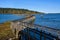 Nisqually Estuary Boardwalk Trail on a sunny fall day, Nisqually National Wildlife Refuge, Washington State