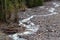 Nisqually Glacier Rocky River Basin