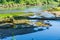 Nisqually River Landscape 2