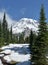 Nisqually Trail, Mount Rainier