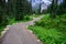 Nisqually Vista Trail through an alpine meadow and woods, Paradise area at Mt. Rainier national park