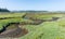 Nisqually Wetlands Grass Mounds