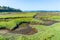 Nisqually Wetlands Grass Mounds 3