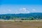 Nisqually Wetlands Mountain