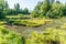 Nisqually Wetlands Pond 2