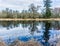 Nisqually Wetlands Reflecions 3