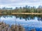 Nisqually Wetlands Reflecions 4