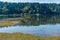 Nisqually Wetlands Water 6