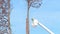 NISSWA, MN - 7 DEC 2021: Man on boom lift prepares to remove a dead tree..