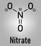 Nitrate anion, chemical structure. Skeletal formula. Flat design