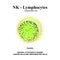 NK lymphocytes structure. The functions of NK lymphocytes. Immunity Helper Cells. Infographics. Vector illustration on