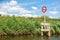 No boating sign at a lake