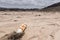 No Boats Buoy - Drought Damaged Marina at Lake Mead