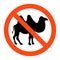 No camel sign ,vector illustratioon on white background