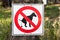No dog pooping sign in the park