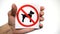 No dogs allowed sign isolated. Hand showing warning sign no dogs