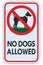 No dogs allowed text warning sign, isolated large detailed ban signage macro closeup, vertical metal regulatory notice board pole