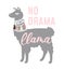 No drama llama cool illustration with lettering, llama, tassels.