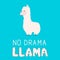 No drama llama. Cute cartoon alpaca and hand drawn lettering. Funny character fluffy alpaca. Motivational or inspirational quote