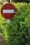 No entry or Do not enter traffic sign overgrown in green flowering hedge