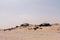 No-man\'s land between Morocco and Mauritania