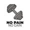 No pain no gain poster with dumbbell. Motivational banner for sport, fitness and powerlifting