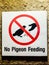 No Pigeon Feeding Sign