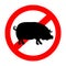 No pigs or pork sign, vector illustration