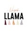 No probllama cool illustration with lettering, llama, tassels. C