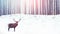 Noble deer on a background of a winter fairy forest. Snowfall. Christmas holiday image.