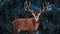 Noble deer male in a snowy forest. Natural winter image.