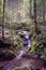 Noble grave waterfalls in the Black Forest