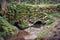 Noble grave waterfalls in the Black Forest