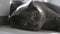 Noble proud cat lying on window sill. The British Shorthair with blue gray fur