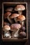 Noble and tasty wild mushrooms straight from the forest