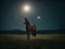 Nocturnal Nobility: Horse\\\'s Silhouette in the Moonlit Night