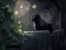 Nocturnal Serenade: Cat\\\'s Enchanting Encounter in the Moonlit Grove