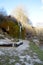 Nohn, Germany - 01 13 2021: area around moss waterfall, DreimÃ¼hlenwasserfall in winter