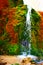 Nohn, Germany - 01 13 2021: colorful moss waterfall, DreimÃ¼hlenwasserfall