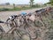 NOIDA, UTTAR PRADESH/INDIA-30 JUNE 2020 : Different types and brands Bicycle parked outside factory on service road by