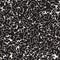 Noise Grunge Abstract Texture. Vector Seamless Black And White Pattern.