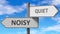 Noisy and quiet as a choice - pictured as words Noisy, quiet on road signs to show that when a person makes decision he can choose