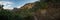 Nolina Plants Flank The Pinnacles Trail In The Chisos Mountains Of Big Bend