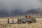 Nomad family moving their yurt to more sheltered place