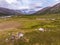 Nomad herding camp in the summer, Yamal, Russia